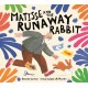 Matisse and the Runaway Rabbit