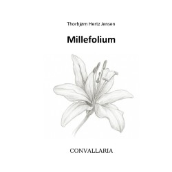 Millefolium