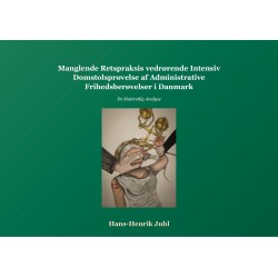 Analyse af Manglende Retspraksis vedrørende Intensiv Domstolsprøvelse af Administrative Frihedsberøvelser i Danmark: En Statsretlig Analyse