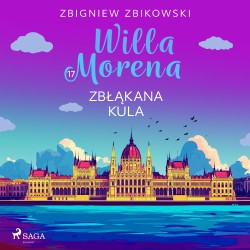 Willa Morena 17: Zbłąkana kula
