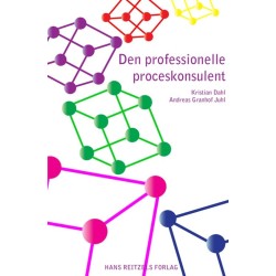 Den professionelle proceskonsulent