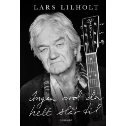 Ingen ord der helt slår til: Fortællinger fra sangenes tid