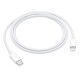 USB-C to Lightning Cable, 1m