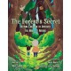 The Forest's Secret: Helping Children to Discover the Magic of Nature