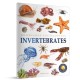 Animals - Invertebrates: Knowledge Encyclopedia For Children