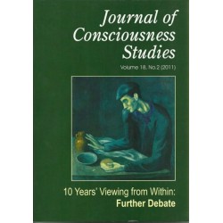 Ten Years' Viewing from Within: Further Debate