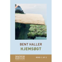 Hjemsøgt (Storskrift)