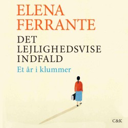 Det lejlighedsvise indfald: Et år i klummer