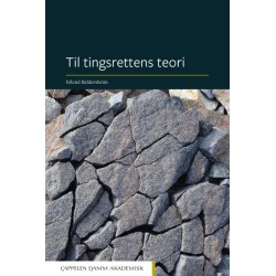Til tingsrettens teori