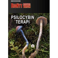 Psilocybin-terapi