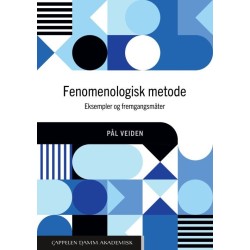 Fenomenologisk metode : eksempler og fremgangsmåter