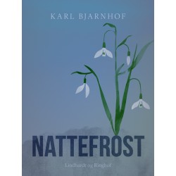 Nattefrost