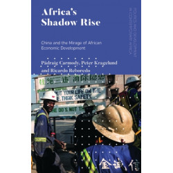 Africa's Shadow Rise: China and the Mirage of African Economic Development