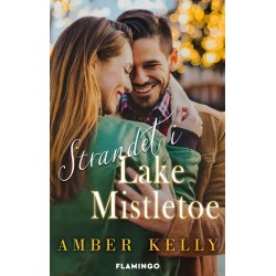 Strandet i Lake Mistletoe