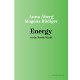 Energy in the Nordic World
