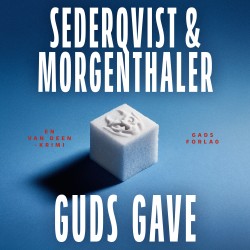 Guds gave: En Van Deen-krimi