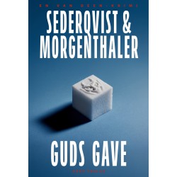 Guds gave: En Van Deen-krimi