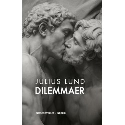 Dilemmaer