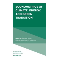 Econometrics of Climate, Energy, and Green Transition