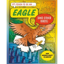 It’s Tough to Be: An Eagle (and Other Birds)