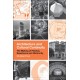 Architecture and Cultural Continuity: The Making of Festival, Experience and Historicity