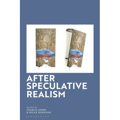 After Speculative Realism