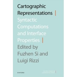 Cartographic Representations: Syntactic Computations and Interface Properties