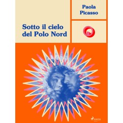 Sotto il cielo del Polo Nord