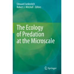 The Ecology of Predation at the Microscale