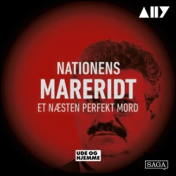 Et næsten perfekt mord