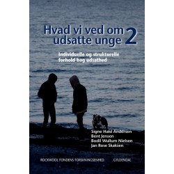 Hvad vi ved om udsatte unge 2: Individuelle og strukturelle forhold bag udsathed