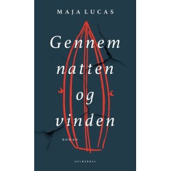 Gennem natten og vinden