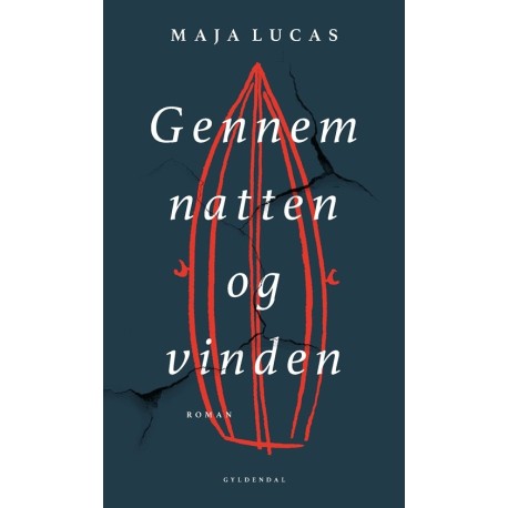 Gennem natten og vinden