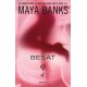 Besat: Enforcers 1