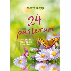 24 pusterum