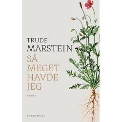 Så meget havde jeg