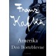 Amerika: Den borteblevne