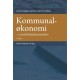 Kommunaløkonomi: i et politologisk perspektiv