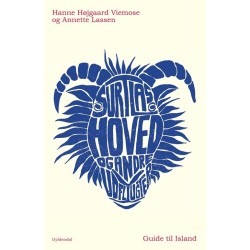 Surtlas hoved og andre udflugter: Guide til Island