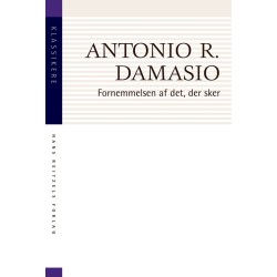 Fornemmelsen af det, der sker