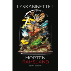 Lyskabinettet