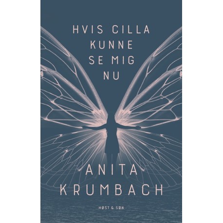 Hvis Cilla kunne se mig nu