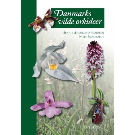 Danmarks vilde orkideer