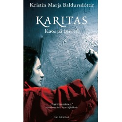 Karitas. Kaos på lærred