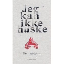 Jeg kan ikke huske