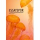 Essayspor: 11 essays og 5 fordybelsesområder i dansk