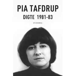 Digte 1981-83: Når der går hul på en engel - Intetfang - Den inderste zone.