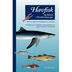Havfisk og fiskeri