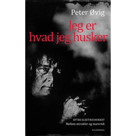 Jeg er hvad jeg husker: Efter elektrochokket: Mellem mirakler og mareridt