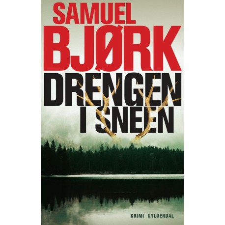 Drengen i sneen